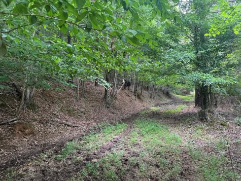 5531 Fires Creek Road Hayesville NC 28904