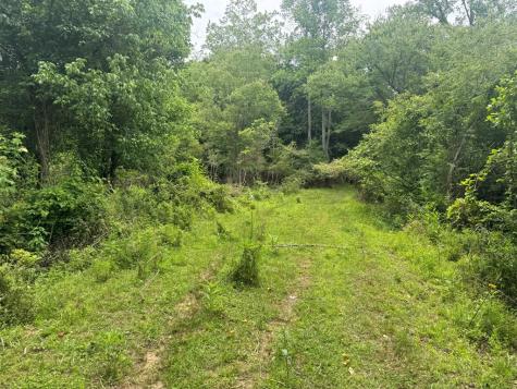 5531 Fires Creek Road Hayesville NC 28904