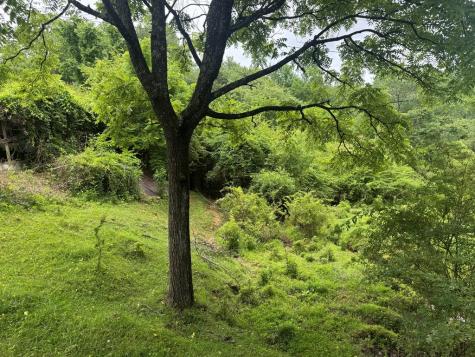 5531 Fires Creek Road Hayesville NC 28904