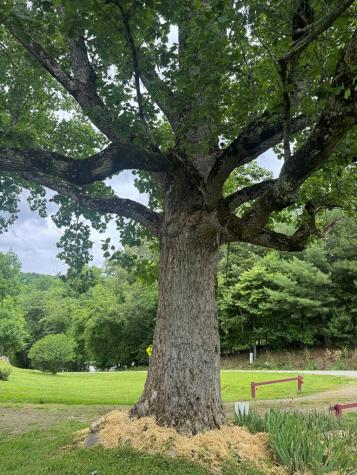 5531 Fires Creek Road Hayesville NC 28904