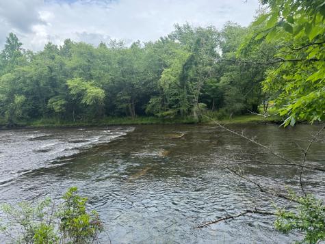 5531 Fires Creek Road Hayesville NC 28904