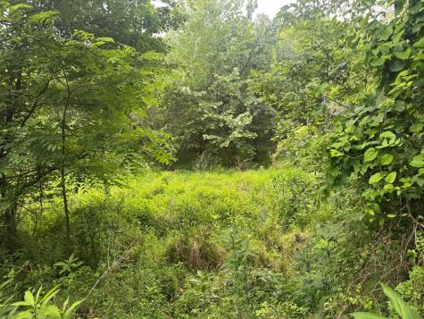 5531 Fires Creek Road Hayesville NC 28904