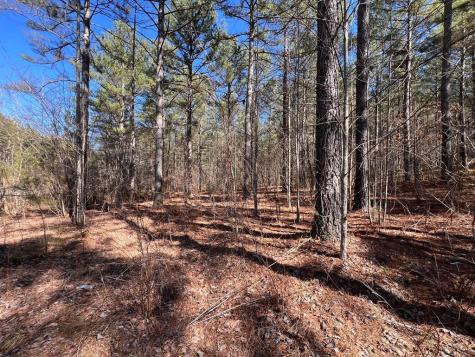 Lot 50 Deyton Drive Blairsville GA 30512