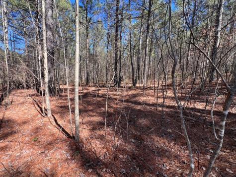 Lot 50 Deyton Drive Blairsville GA 30512