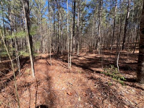 Lot 50 Deyton Drive Blairsville GA 30512
