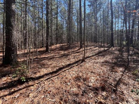 Lot 50 Deyton Drive Blairsville GA 30512