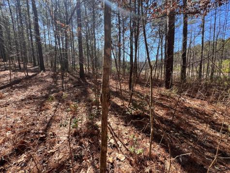 Lot 50 Deyton Drive Blairsville GA 30512