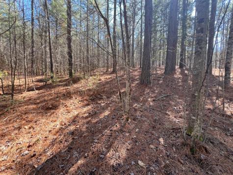 Lot 50 Deyton Drive Blairsville GA 30512