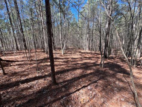Lot 50 Deyton Drive Blairsville GA 30512