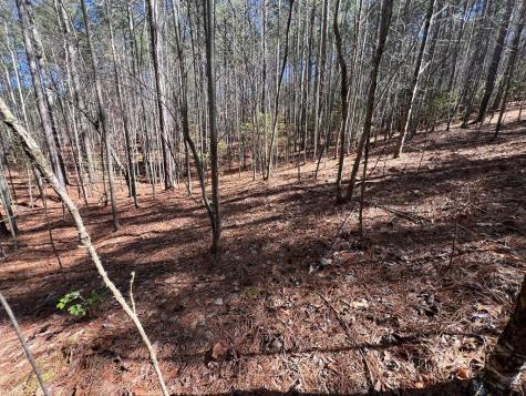 Lot 50 Deyton Drive Blairsville GA 30512