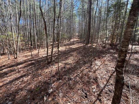 Lot 50 Deyton Drive Blairsville GA 30512