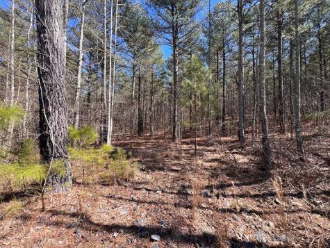 Lot 50 Deyton Drive Blairsville GA 30512