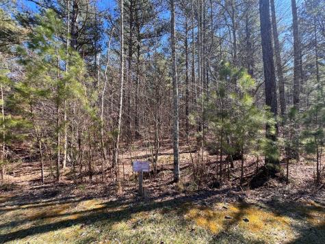 Lot 50 Deyton Drive Blairsville GA 30512