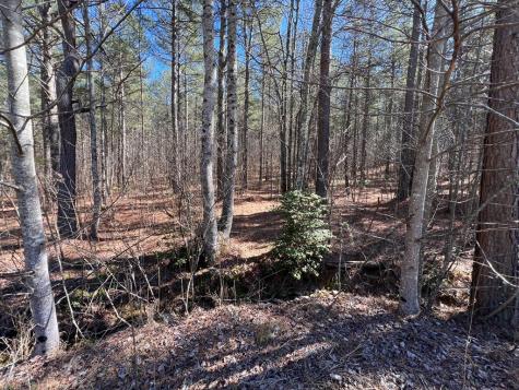 Lot 50 Deyton Drive Blairsville GA 30512