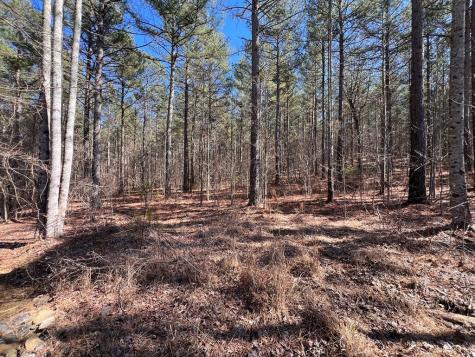 Lot 50 Deyton Drive Blairsville GA 30512