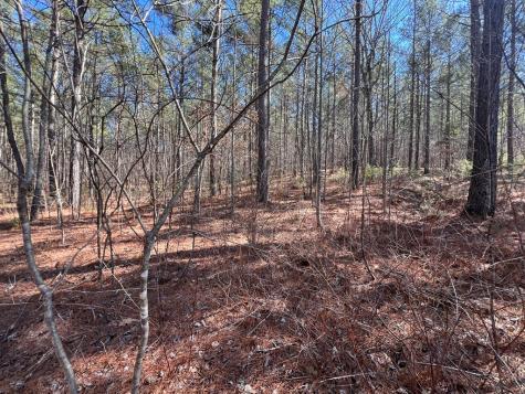 Lot 50 Deyton Drive Blairsville GA 30512