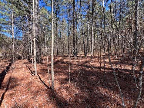 Lot 50 Deyton Drive Blairsville GA 30512