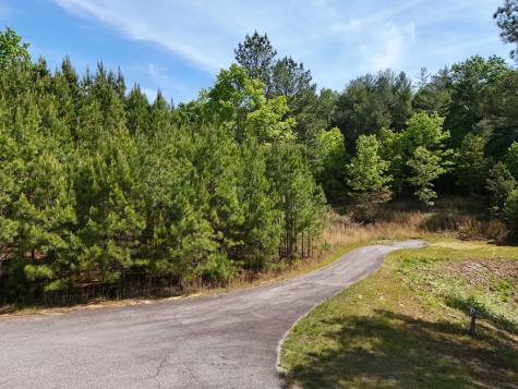 Lot 101 Big Knoll Drive Blairsville GA 30512