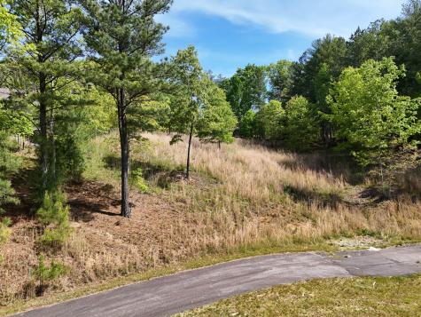 Lot 101 Big Knoll Drive Blairsville GA 30512