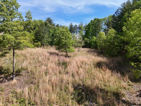 Lot 101 Big Knoll Drive Blairsville GA 30512