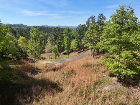 Lot 101 Big Knoll Drive Blairsville GA 30512