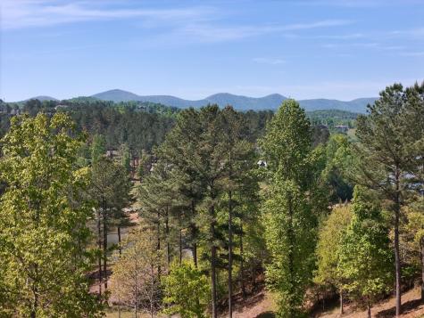 Lot 101 Big Knoll Drive Blairsville GA 30512