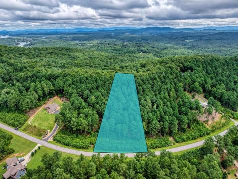 Lot 169 Thirteen Hundred Blairsville GA 30512