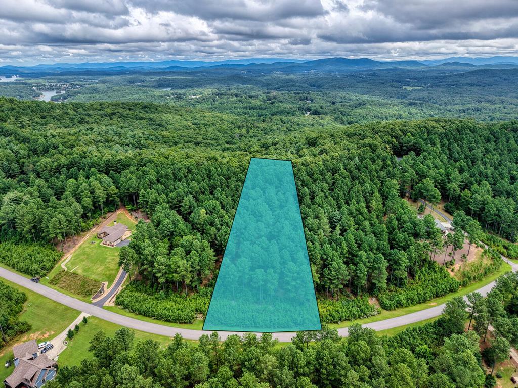 Lot 169 Thirteen Hundred Blairsville GA 30512