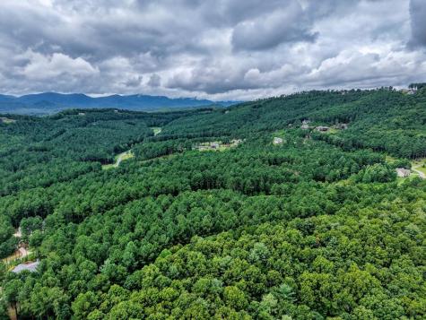 Lot 169 Thirteen Hundred Blairsville GA 30512