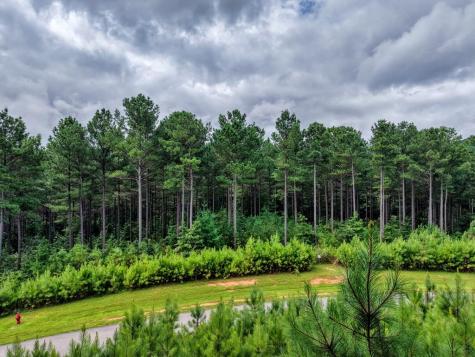 Lot 169 Thirteen Hundred Blairsville GA 30512