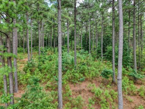 Lot 169 Thirteen Hundred Blairsville GA 30512