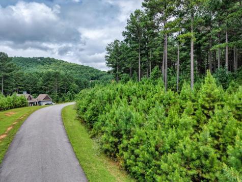 Lot 169 Thirteen Hundred Blairsville GA 30512