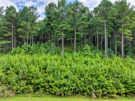 Lot 169 Thirteen Hundred Blairsville GA 30512