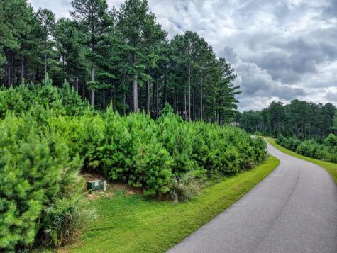 Lot 169 Thirteen Hundred Blairsville GA 30512