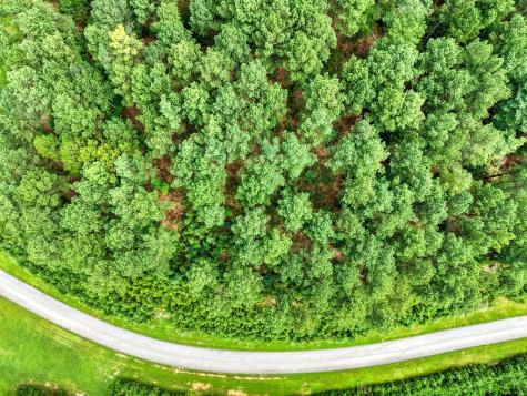 Lot 169 Thirteen Hundred Blairsville GA 30512