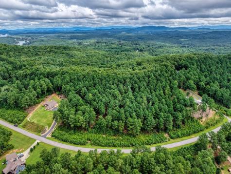 Lot 169 Thirteen Hundred Blairsville GA 30512