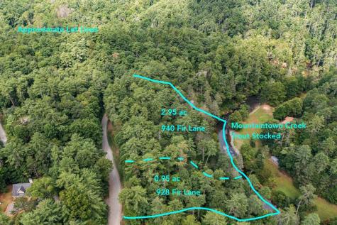 928 Fir Lane Ellijay GA 30540