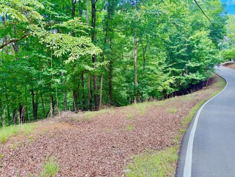 2246 Palisade Drive Ellijay GA 30540