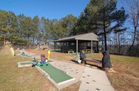 2246 Palisade Drive Ellijay GA 30540