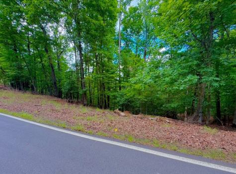 2246 Palisade Drive Ellijay GA 30540
