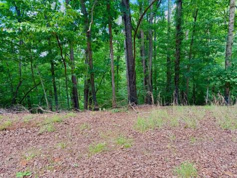 2246 Palisade Drive Ellijay GA 30540