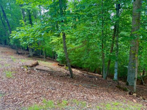 2246 Palisade Drive Ellijay GA 30540