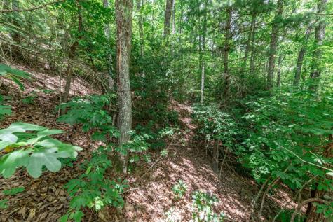 Lot 56 Indian Rock Springs Murphy NC 28906