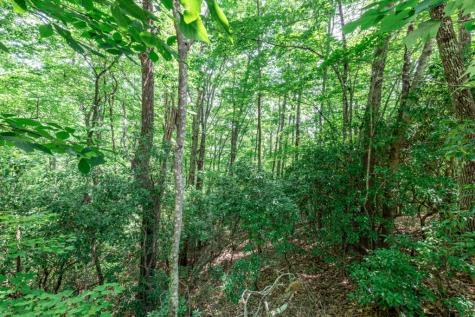 Lot 56 Indian Rock Springs Murphy NC 28906