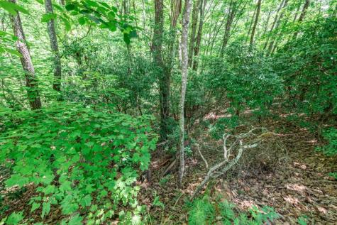 Lot 56 Indian Rock Springs Murphy NC 28906