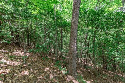 Lot 56 Indian Rock Springs Murphy NC 28906