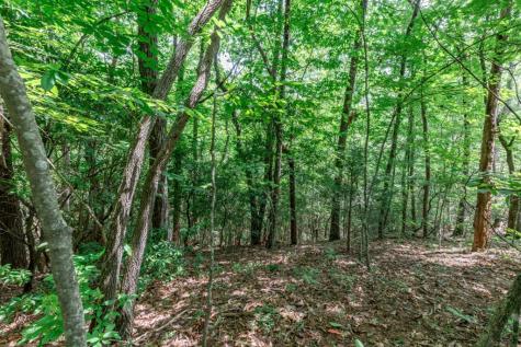 Lot 56 Indian Rock Springs Murphy NC 28906