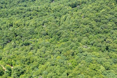 Lot 56 Indian Rock Springs Murphy NC 28906