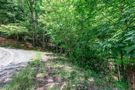 Lot 56 Indian Rock Springs Murphy NC 28906