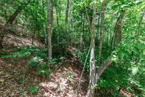 Lot 56 Indian Rock Springs Murphy NC 28906
